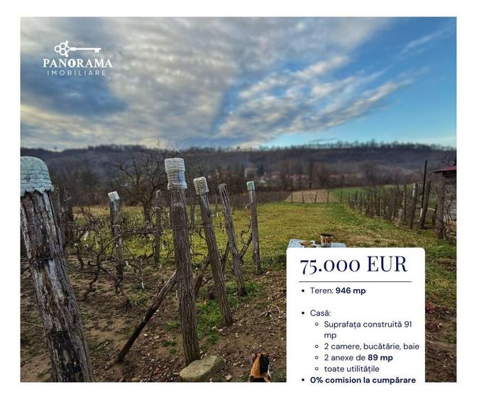 Casă de vânzare în Laslea-gospodărie autentică în inima Transilvaniei - 2