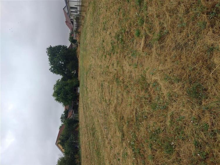 RECO Casa cu teren Generos Santandrei - 7