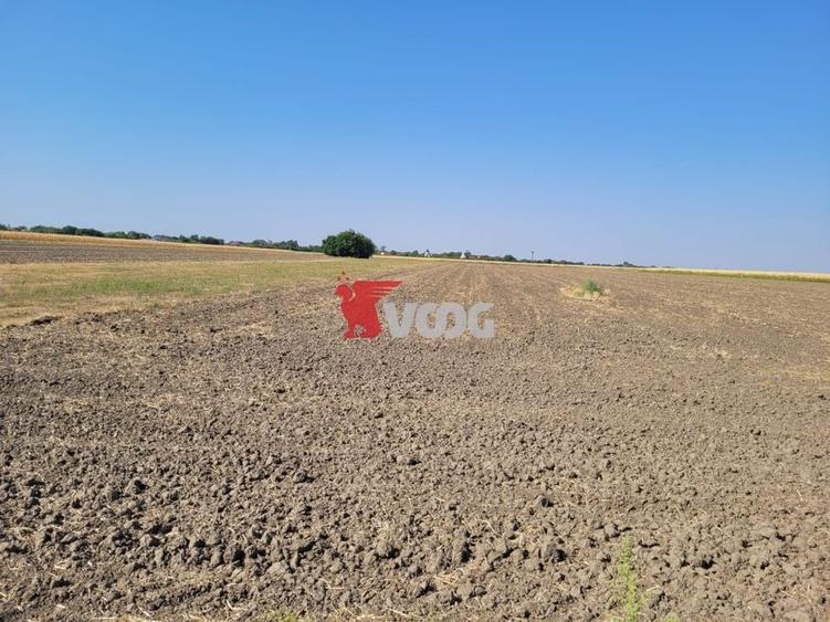 Teren parcelat cu PUZ aprobat 27.000mp - 1