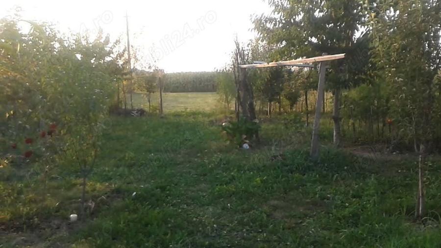 Vand casa cu teren 1500 mp intimitate totala Comuna Berceni, sat Catunu (Prahova) - 3