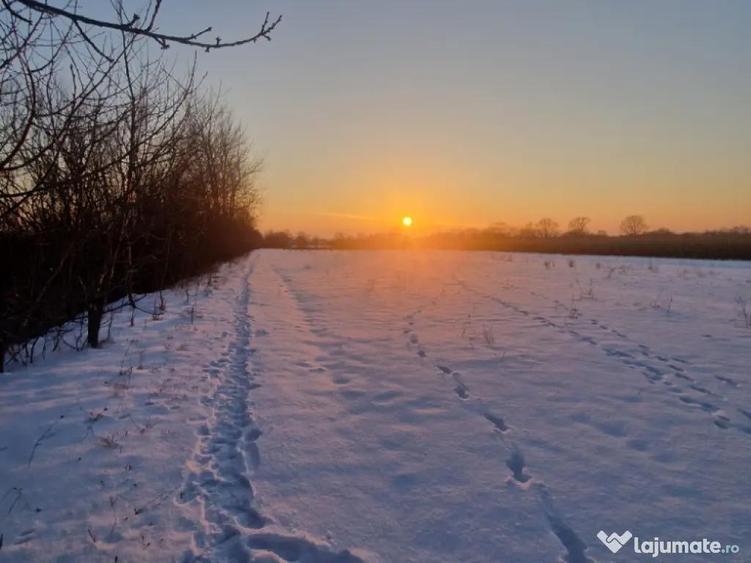 Casa de vanzare-Fratau?ii Noi, str. Carstei nr.35 - 6