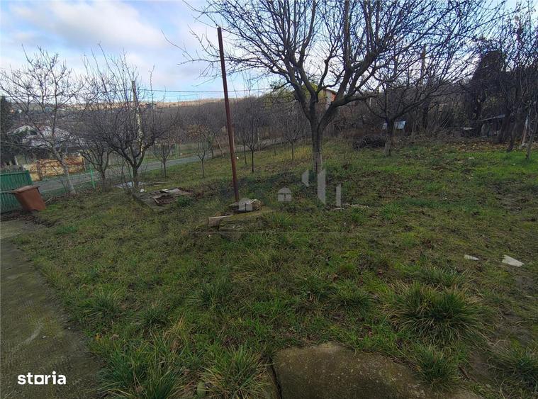 Teren Bucium - Trecatoarea Paun - 2