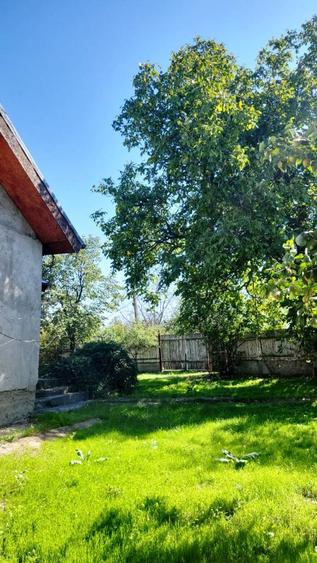 Casă cu grădină, Lipia, Merei - 16