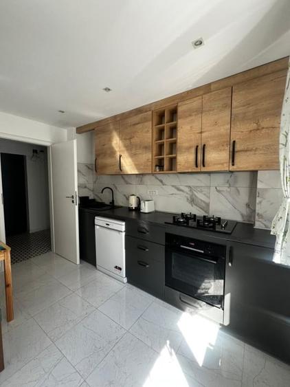 Apartament Victoriei -  Banu Manta - 1