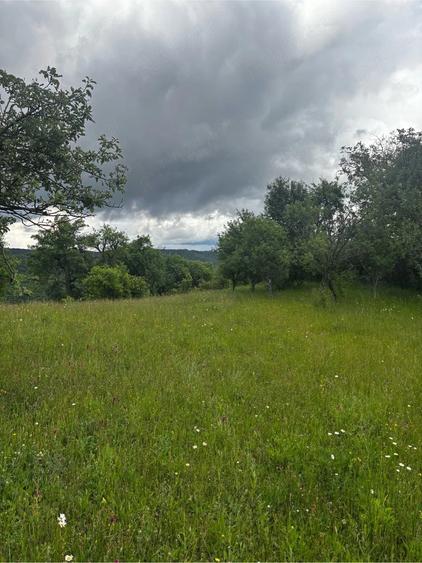 Vand teren intravilan - 7