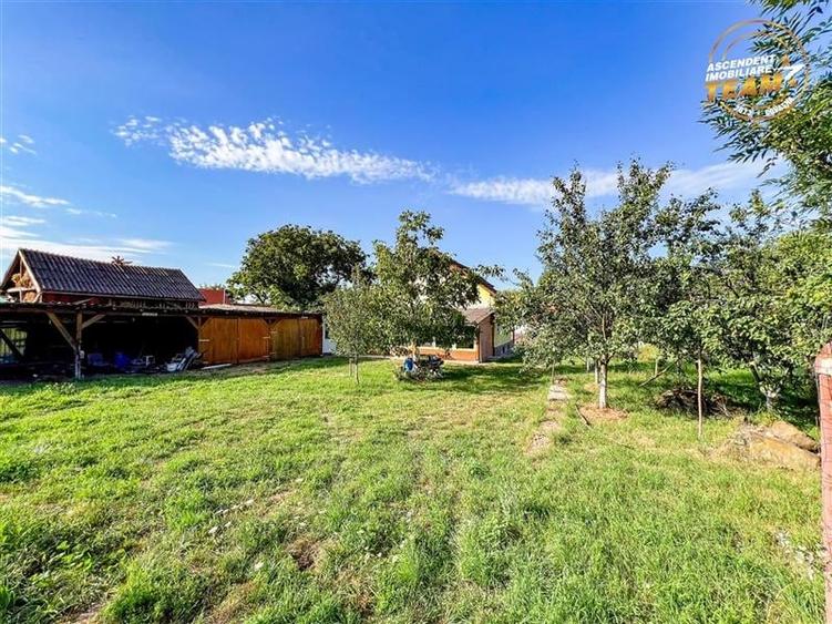 FILM!Areal apreciabil,casa+domeniu de 3.500mp,Sancraiu,vecin Sfantu Gheorghe si - 30