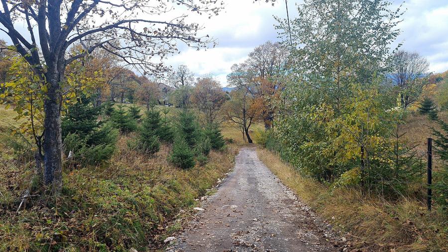 TEREN INTRAVILAN-EXTRAVILAN SPECTACULOS LANGA RESORTUL CHEILE GRADISTEI -FUNDATA - 4