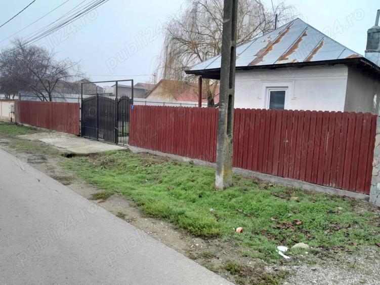 Casa de vinzare tariceni - 4