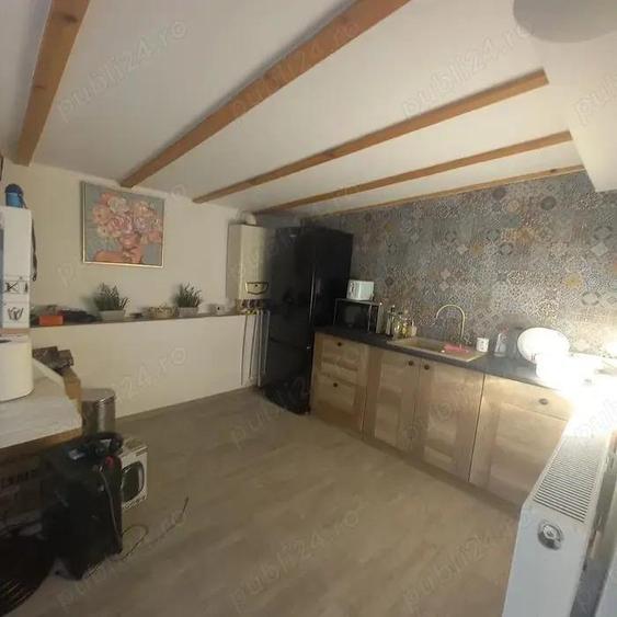 Casa 3 camere de inchiriat Palazu Mare - 14