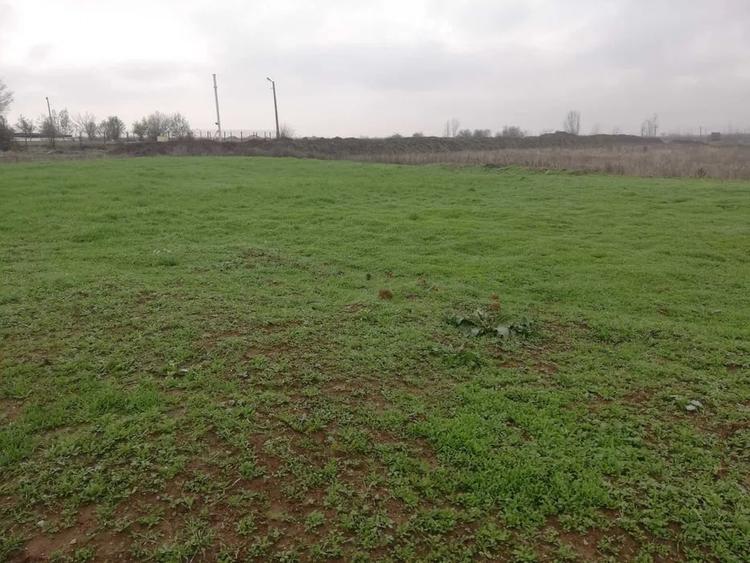 Teren intravilan Ghercesti - 1000mp - 3