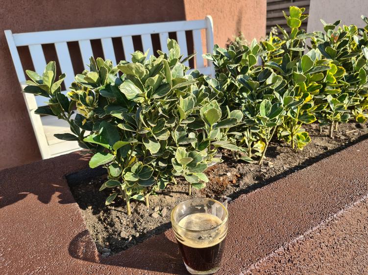 OMNIA-Proprietati alese! Casa ta. Asfalt,canalizare. Discount 15000 eur/15.12.25 - 6