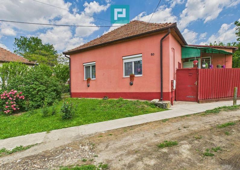 Casa cu 3 camere ?i teren generos langa frontiera - 8