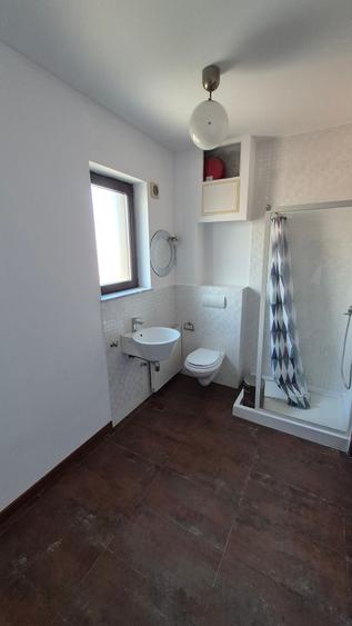 Vila de inchiriat- Bucuresti Nord-Pipera - 21