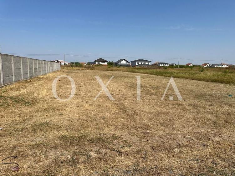 BX110 Teren Mosnita Noua-Front 19 m-Utilitati - 1