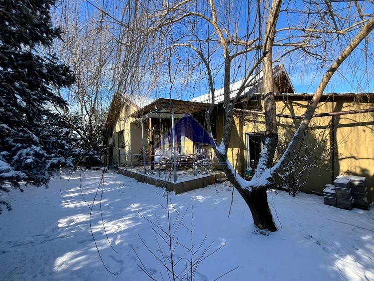 Balotesti, Good Afternoon Residence - 5