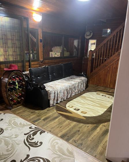 Casa Vladesti ?arina - 18