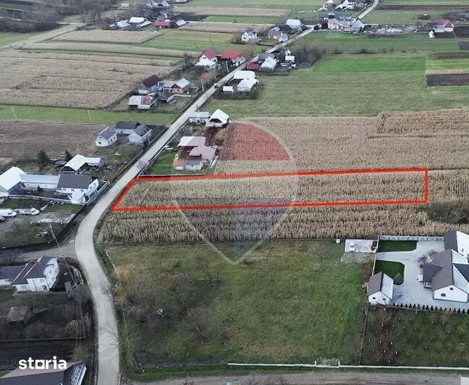 Teren de 3500 mp, în Frătăuții Noi