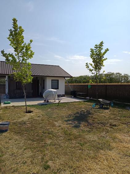 Casa vacanta,Albota,Morlovani - 12