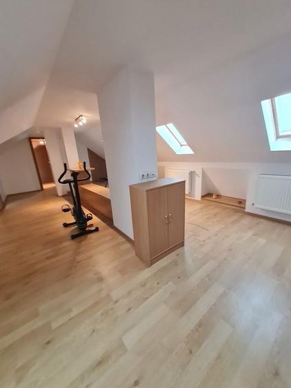 Vila individuala,la 10 min de Piața Victoriei! - 16