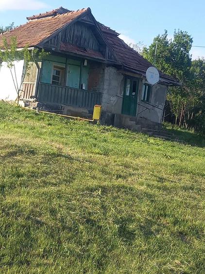 casa la tara de vanzare - 7