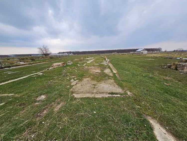 Teren intravilan pentru  investiție  - 9