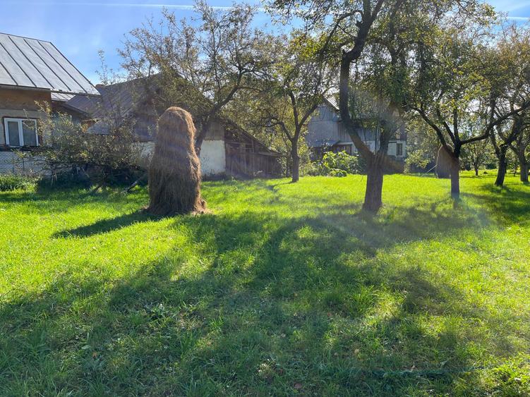 Teren intravilan Breaza PH / Podu Corbului - vanzare - 7