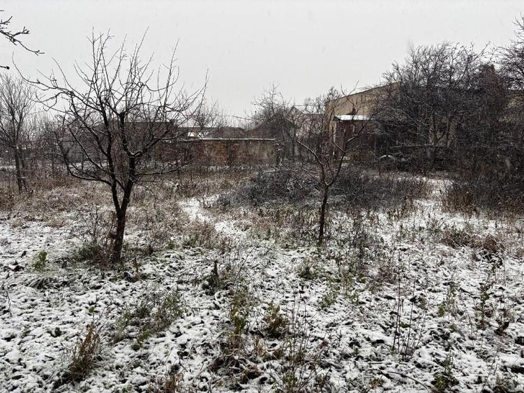 Vand gospodarie taraneasca traditionala - 3