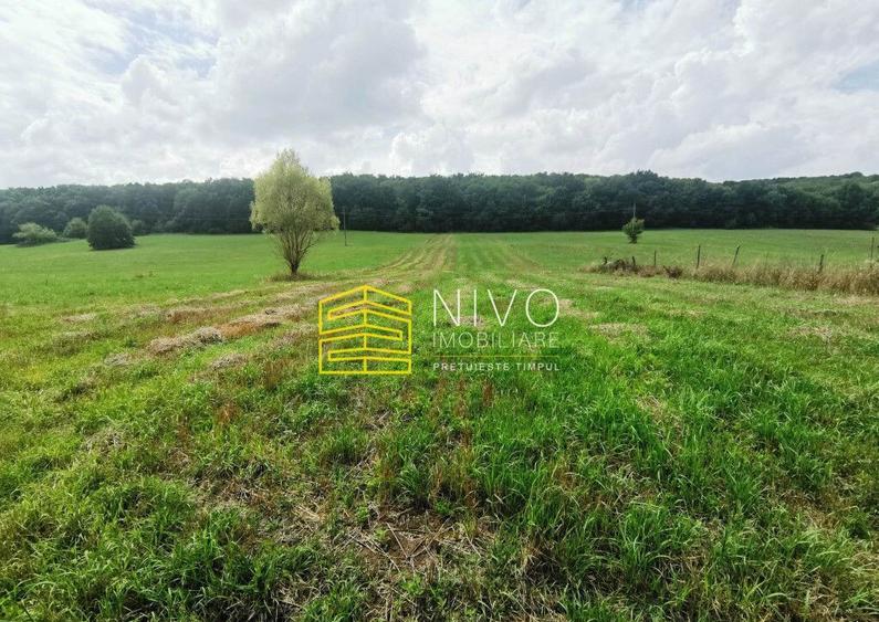 Teren intravilan - Budiu Mic - Str. Principala - 4