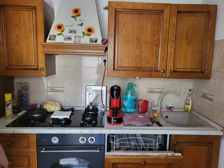 Casa cu gradina de vanzare - 8