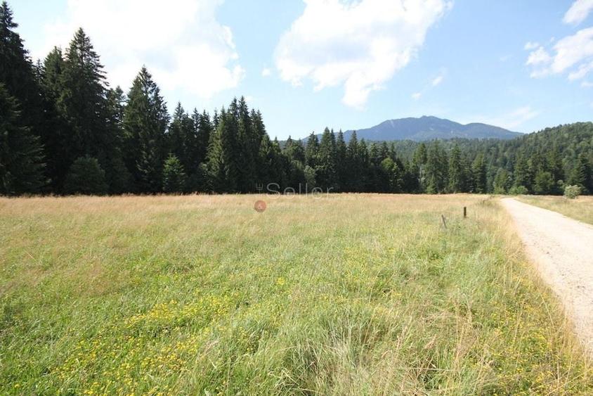 Poiana lui Manole - teren Intravilan - 13