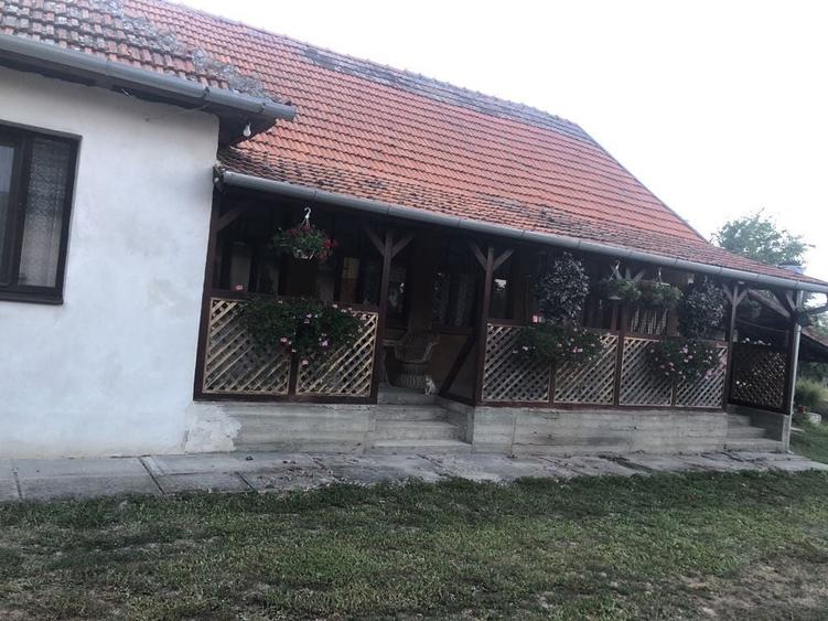 Vand casa, central Macea - 1
