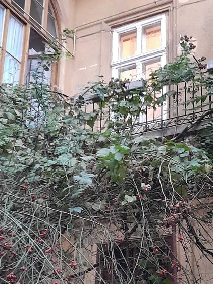Apartament cu 4 camere în Central