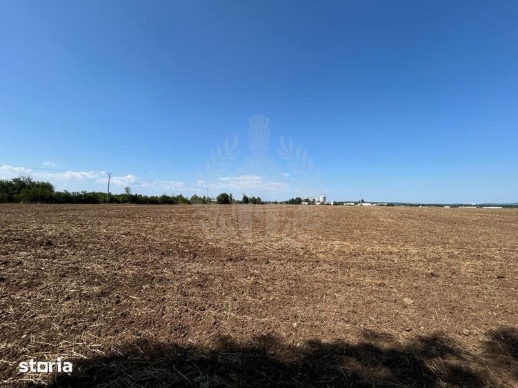 Teren de 100000 mp, în Păulești