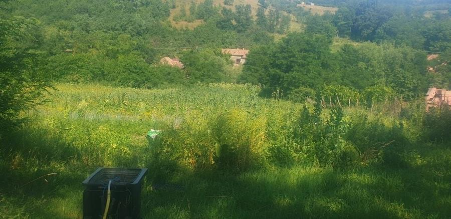 Casă cu 3 camere în Bărăi