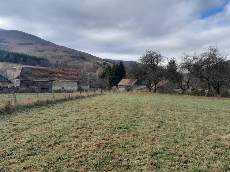 Teren Construcții intravilan de 4196 mp, în Dobârlău