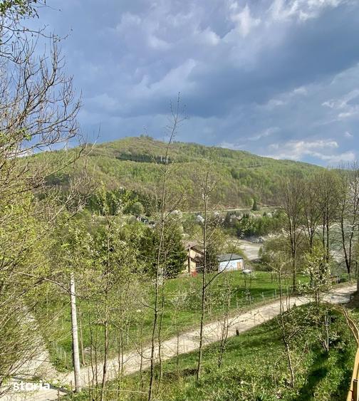 Teren de 1780 mp, în Valea Doftanei