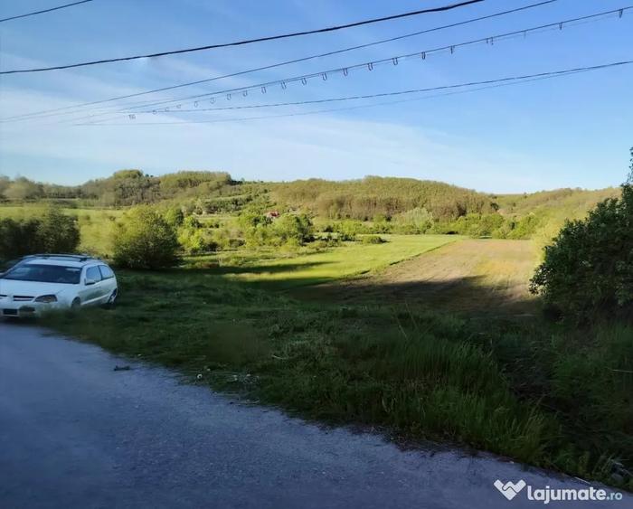 Teren de 7000 mp, în Bulzești