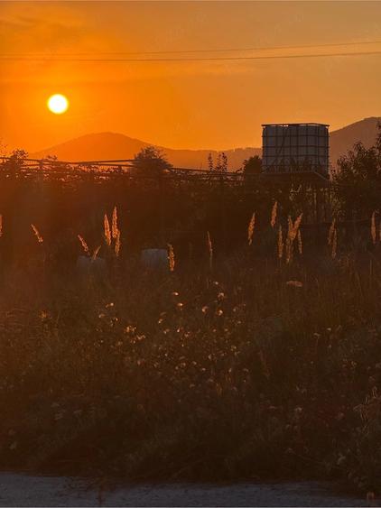 Teren de 863 mp, în Săvinești