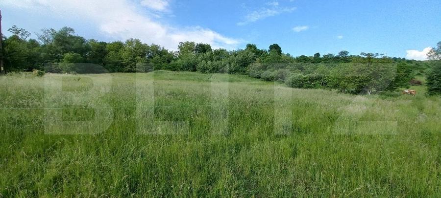 Teren Construcții intravilan de 9100 mp, în Exterior Sud