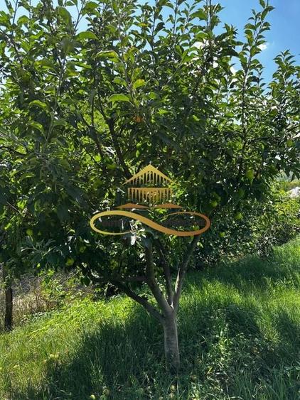 Casa de vanzare in Secuieni / Bacau - 16