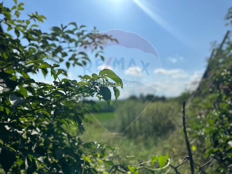 Teren intravilan 3.765 mp cu casa - Bodesti de Jos