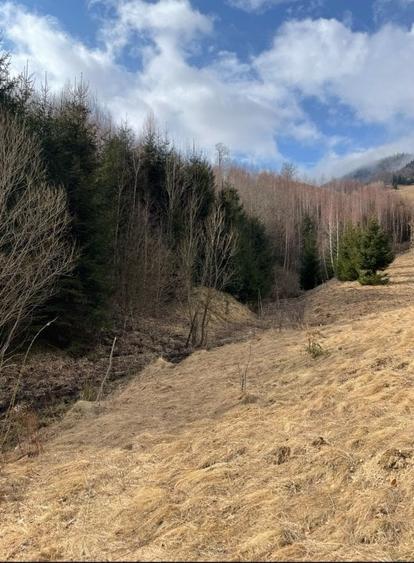 VÂNZARE TEREN CU POTENȚIAL DE DEZVOLTARE ÎN ZONA TURISTICĂ MAGURA-PESTERA - 9