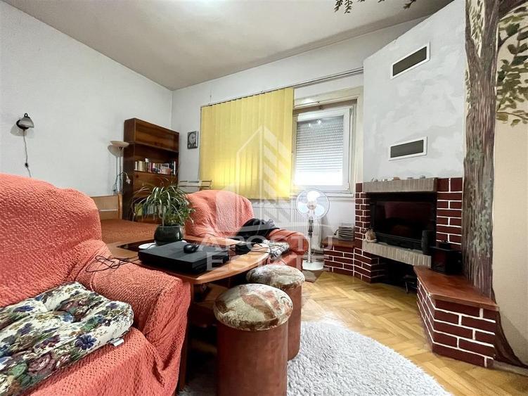 Casa individuala cu 6 camere situata in zona Elisabetin - 12