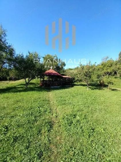 Casa Rohia ,ideala locuit sau pensiune ,zona turistica,45 ari - 3