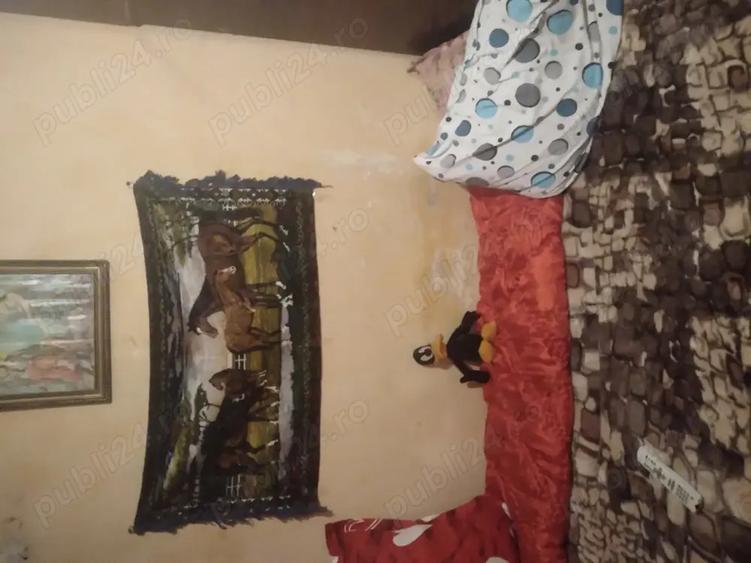 Primesc in chirie - 1