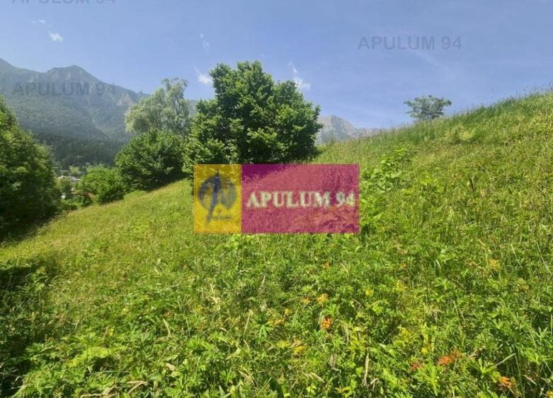 Teren de v&acirc;nzare &icirc;n Bușteni - Zona Zamora - 5