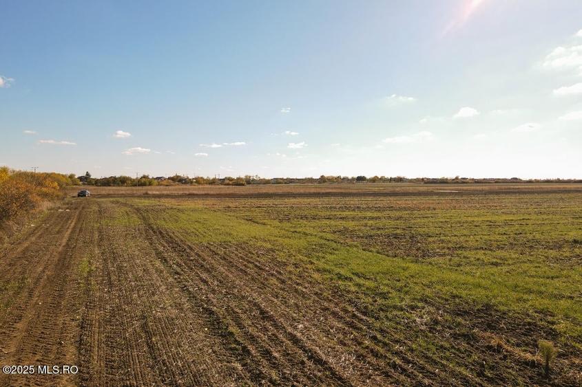 Bucovat - Lot Intravilan 2.27 Ha, PUZ inceput, Rezidential + Servicii! - 8