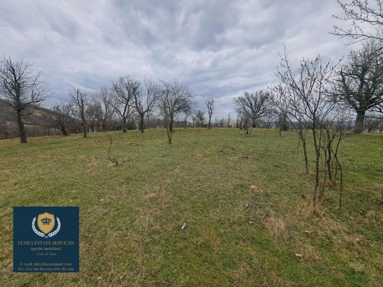 Teren construcții 25428 mp! Reșița, Calea Timișorii. - 2