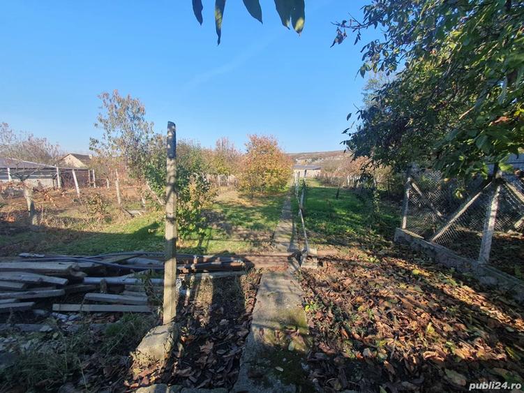 vind casa in com Covasint - 4