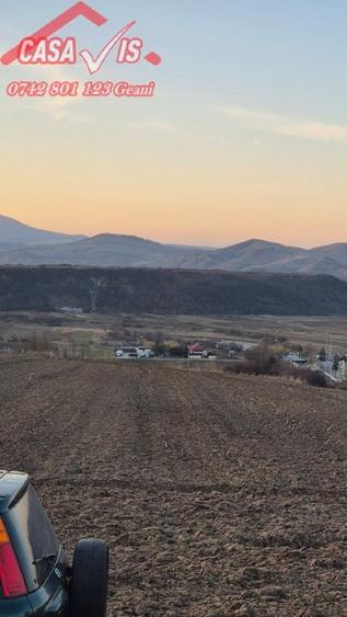 Teren 1 euro/mp pentru iarba verde - 3